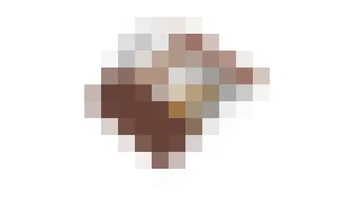 Spankerenseweg 31 a Dieren thumbnail 45