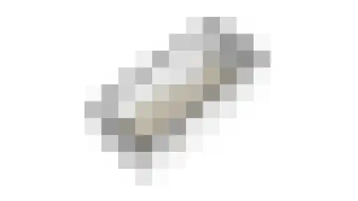 Spankerenseweg 31 a Dieren thumbnail 47