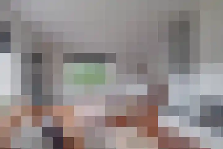 Spankerenseweg 31 a Dieren thumbnail 9