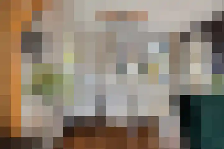 Spankerenseweg 53 Dieren thumbnail 17