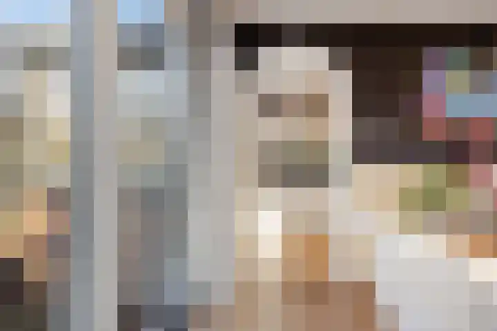 Spankerenseweg 53 Dieren thumbnail 18