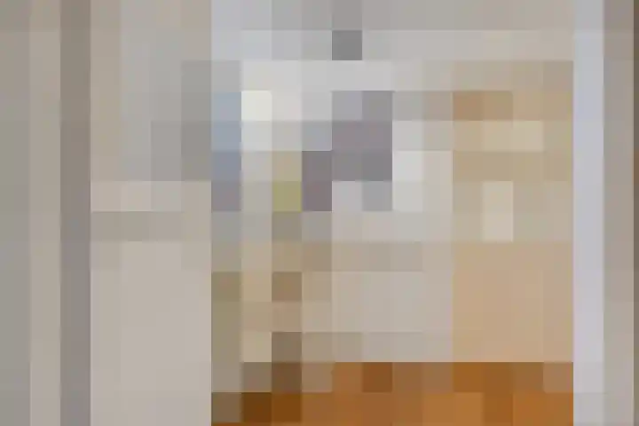 Spankerenseweg 53 Dieren thumbnail 24