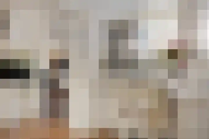 Spankerenseweg 53 Dieren thumbnail 25