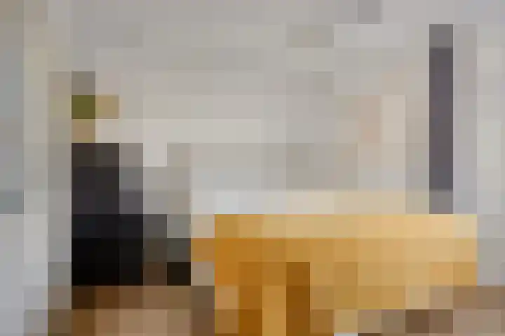 Spankerenseweg 53 Dieren thumbnail 31