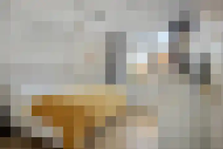Spankerenseweg 53 Dieren thumbnail 33