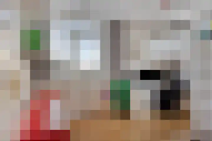 Spankerenseweg 53 Dieren thumbnail 34