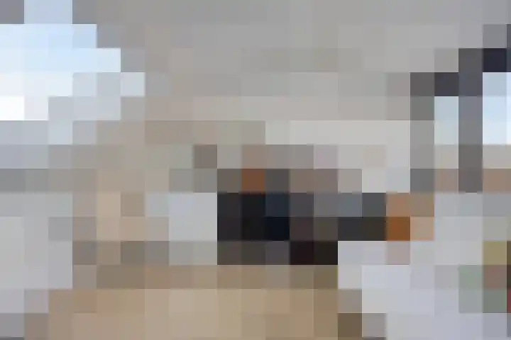 Spankerenseweg 53 Dieren thumbnail 43