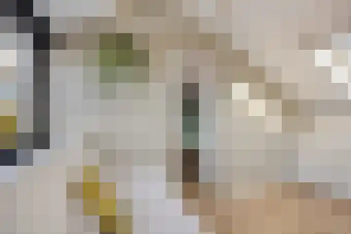 Spankerenseweg 53 Dieren thumbnail 45
