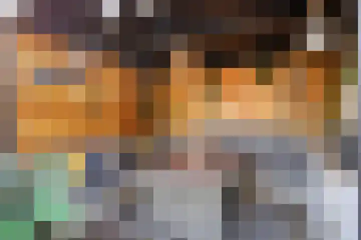 Spankerenseweg 53 Dieren thumbnail 51