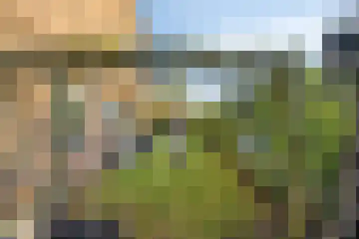 Spankerenseweg 53 Dieren thumbnail 54