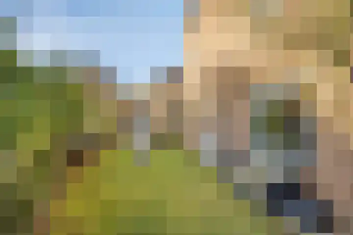 Spankerenseweg 53 Dieren thumbnail 58