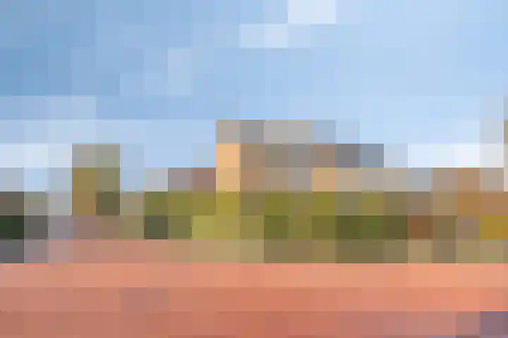 Spankerenseweg 53 Dieren thumbnail 61