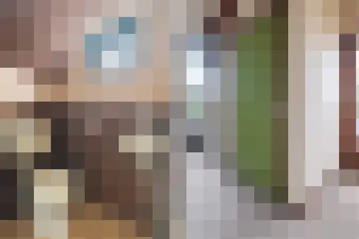 Spankerenseweg 9 Dieren thumbnail 16