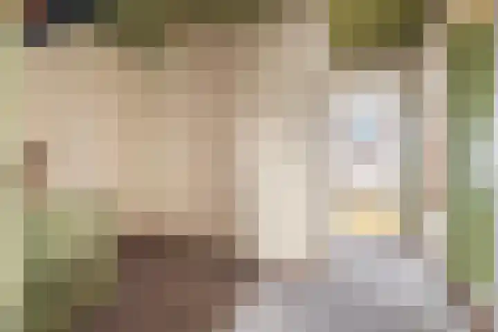 Spankerenseweg 9 Dieren thumbnail 17
