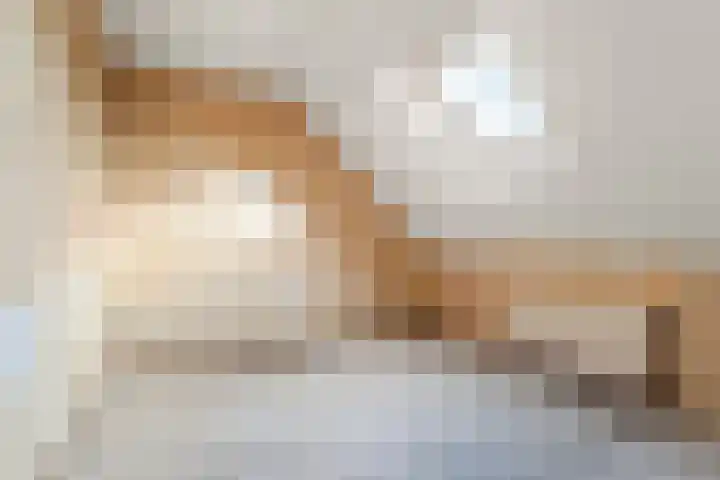 Spankerenseweg 9 Dieren thumbnail 18