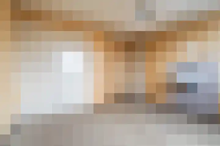 Spankerenseweg 9 Dieren thumbnail 21