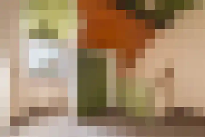 Spankerenseweg 9 Dieren thumbnail 25
