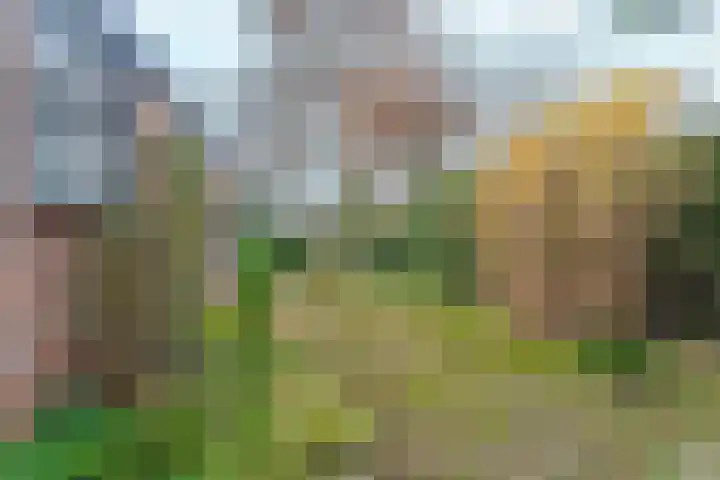 Spankerenseweg 9 Dieren thumbnail 30