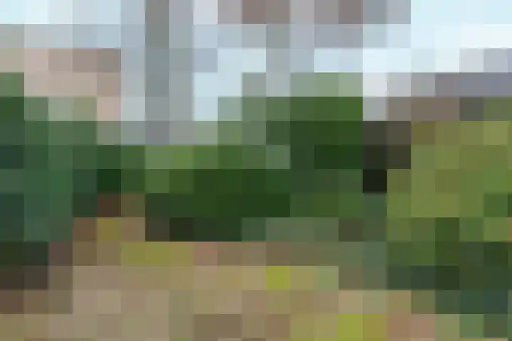 Spankerenseweg 9 Dieren thumbnail 31