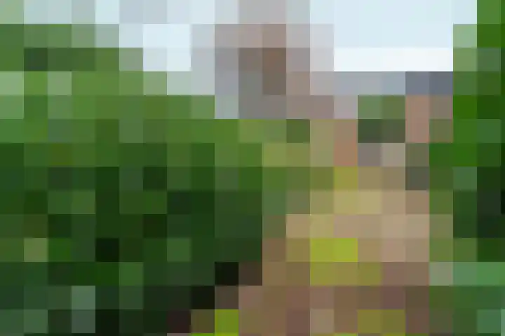 Spankerenseweg 9 Dieren thumbnail 32