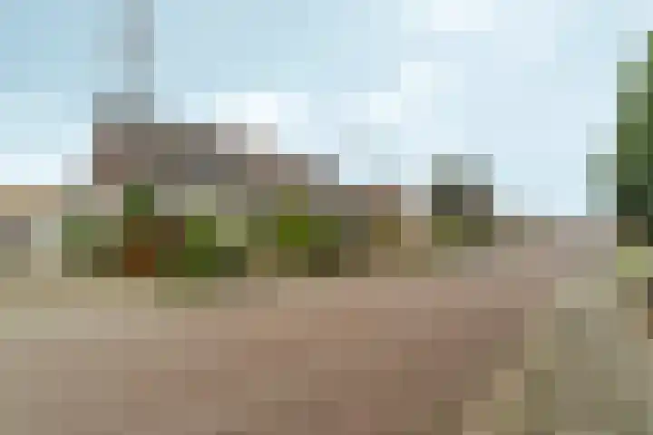 Spankerenseweg 9 Dieren thumbnail 37