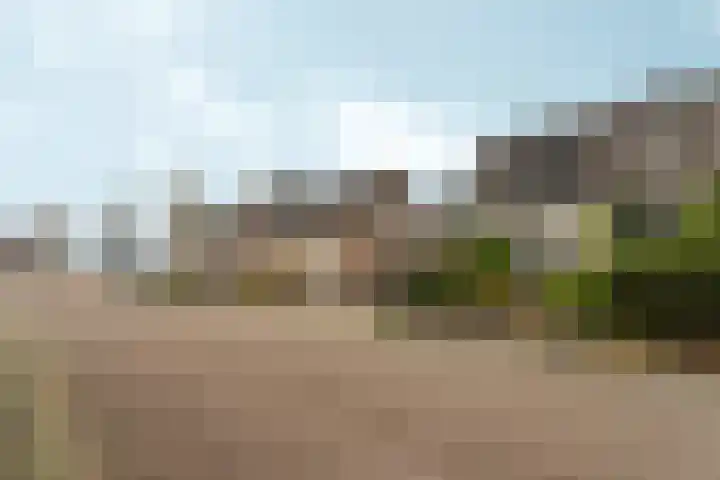 Spankerenseweg 9 Dieren thumbnail 38