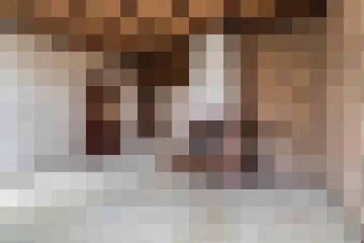 Spankerenseweg 9 Dieren thumbnail 6