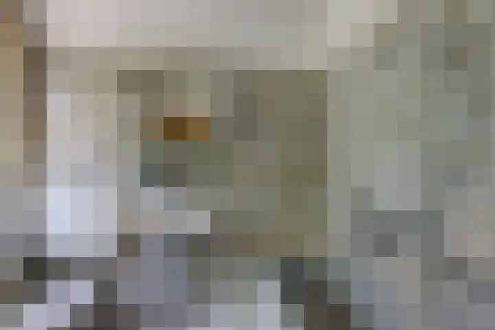 Spankerlaan 2 Kortgene thumbnail 18