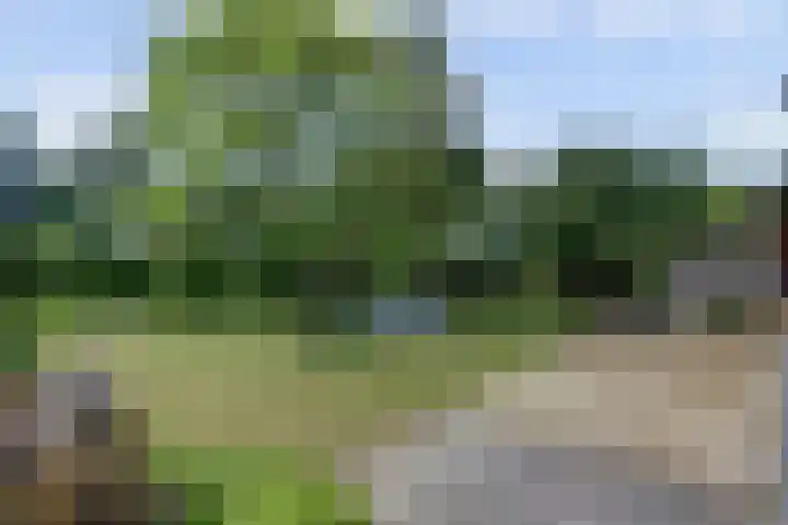Spankerlaan 2 Kortgene thumbnail 28