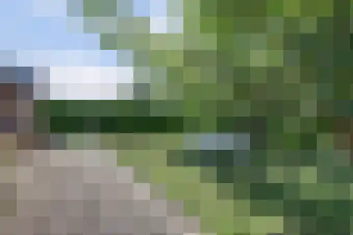 Spankerlaan 2 Kortgene thumbnail 29