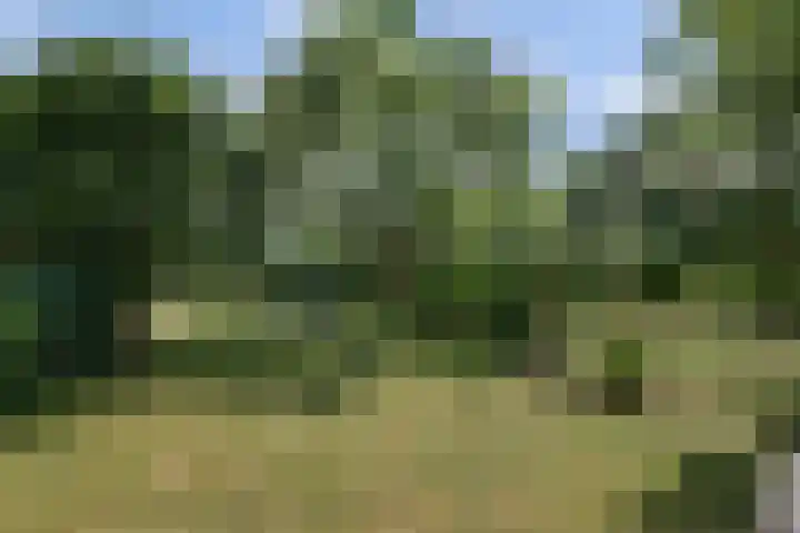 Spankerlaan 2 Kortgene thumbnail 30