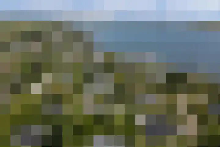 Spankerlaan 2 Kortgene thumbnail 32