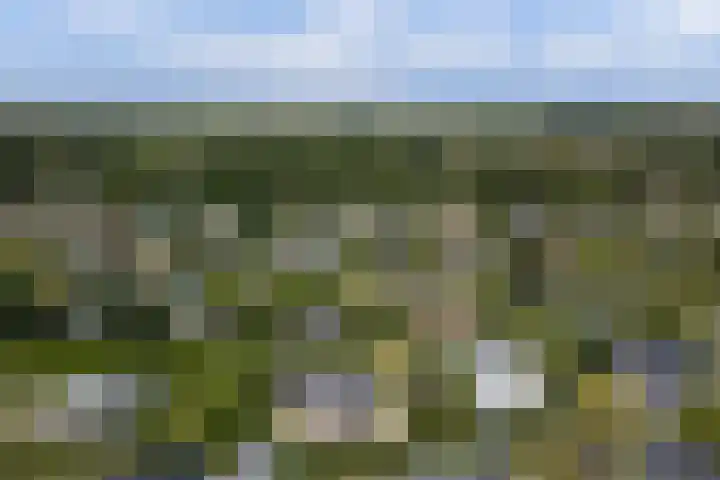 Spankerlaan 2 Kortgene thumbnail 33