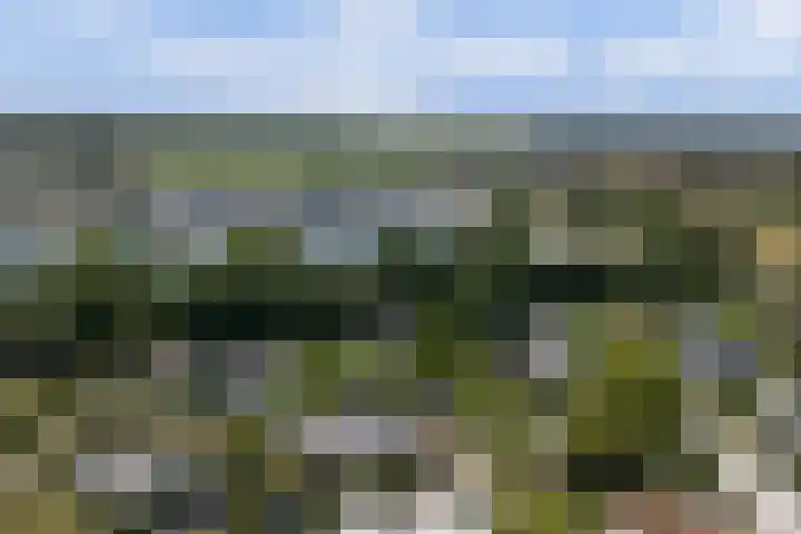 Spankerlaan 2 Kortgene thumbnail 34