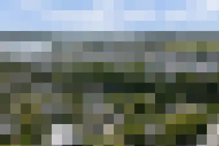 Spankerlaan 2 Kortgene thumbnail 35