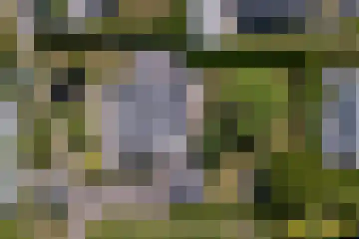 Spankerlaan 2 Kortgene thumbnail 36