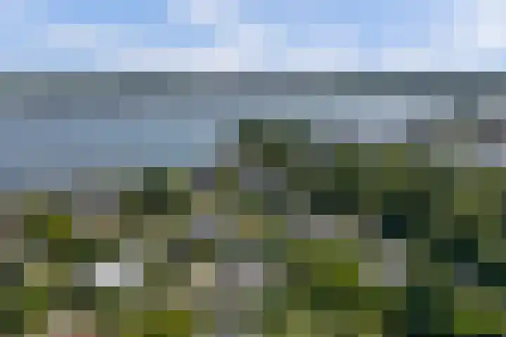 Spankerlaan 2 Kortgene thumbnail 40