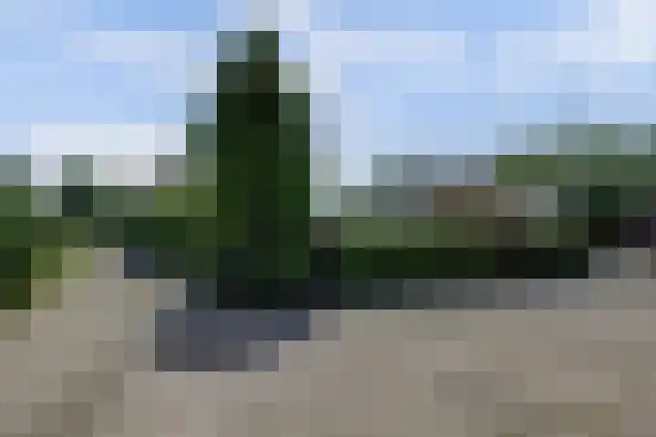 Spankerlaan 2 Kortgene thumbnail 5