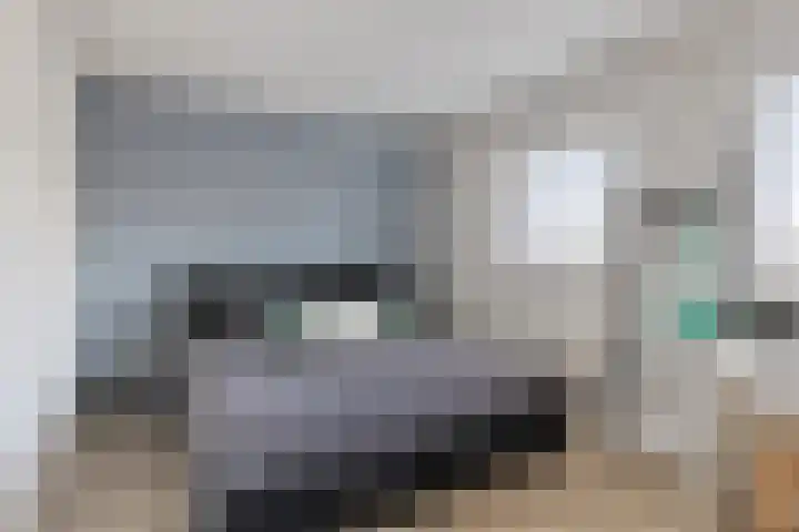 Spankerstraat 23 Lisse thumbnail 11