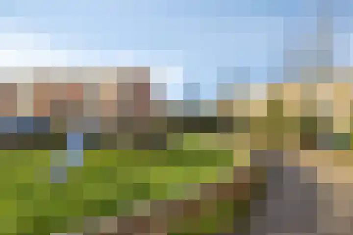 Spankerstraat 23 Lisse thumbnail 16