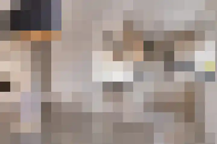 Spankerstraat 23 Lisse thumbnail 7