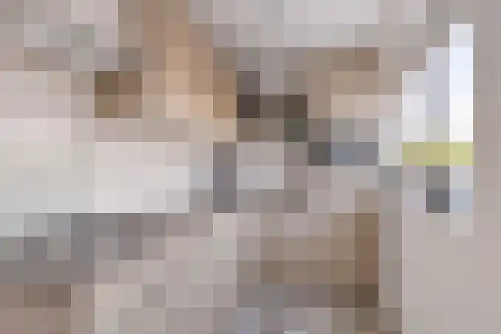 Spankerstraat 23 Lisse thumbnail 8