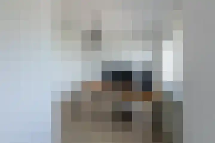 Spankerstraat 39 Rotterdam thumbnail 22