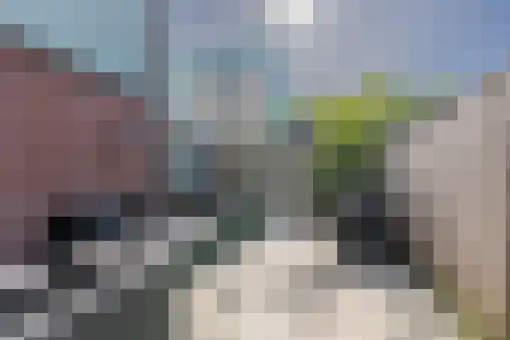 Spankerstraat 39 Rotterdam thumbnail 24