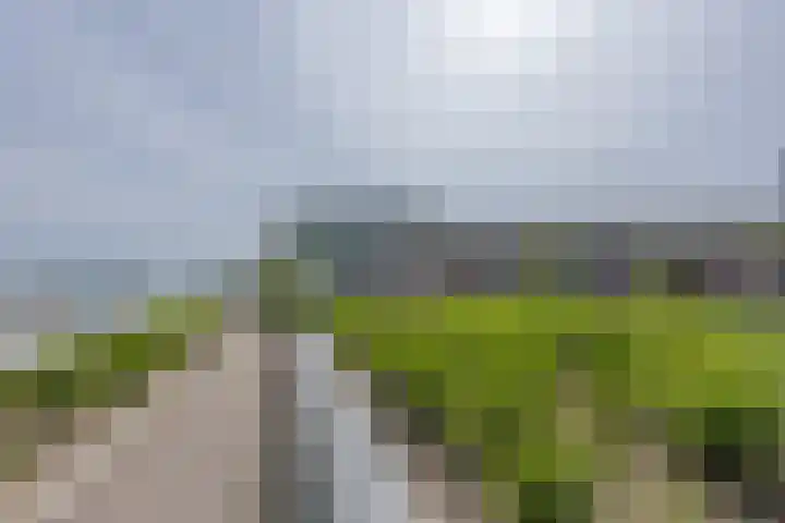 Spankerstraat 39 Rotterdam thumbnail 4