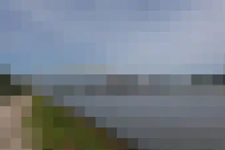 Spankerstraat 39 Rotterdam thumbnail 5