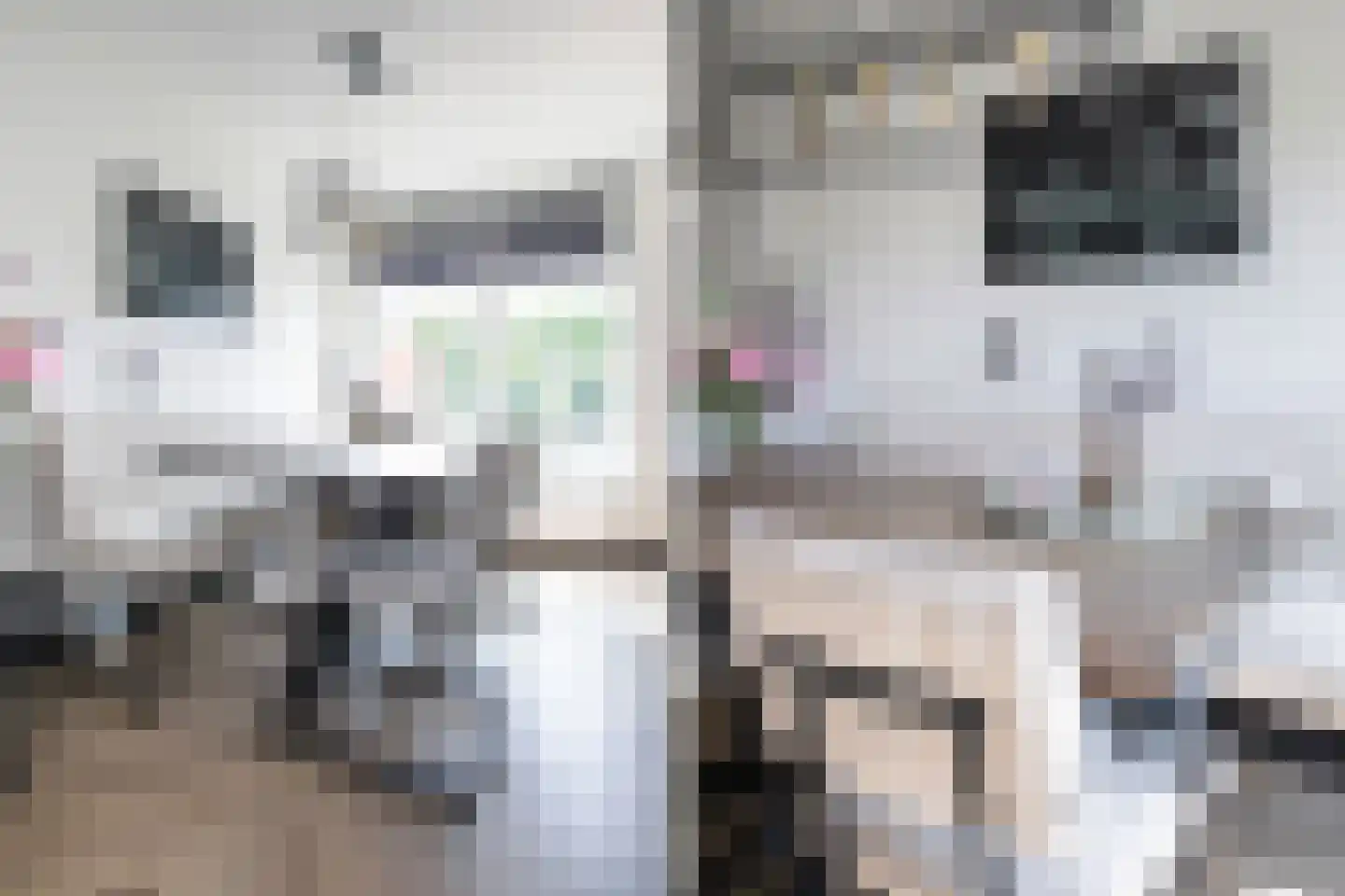 Spankerstraat 6 Lisse thumbnail 17