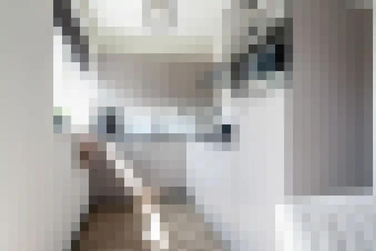 Spankerstraat 6 Lisse thumbnail 18