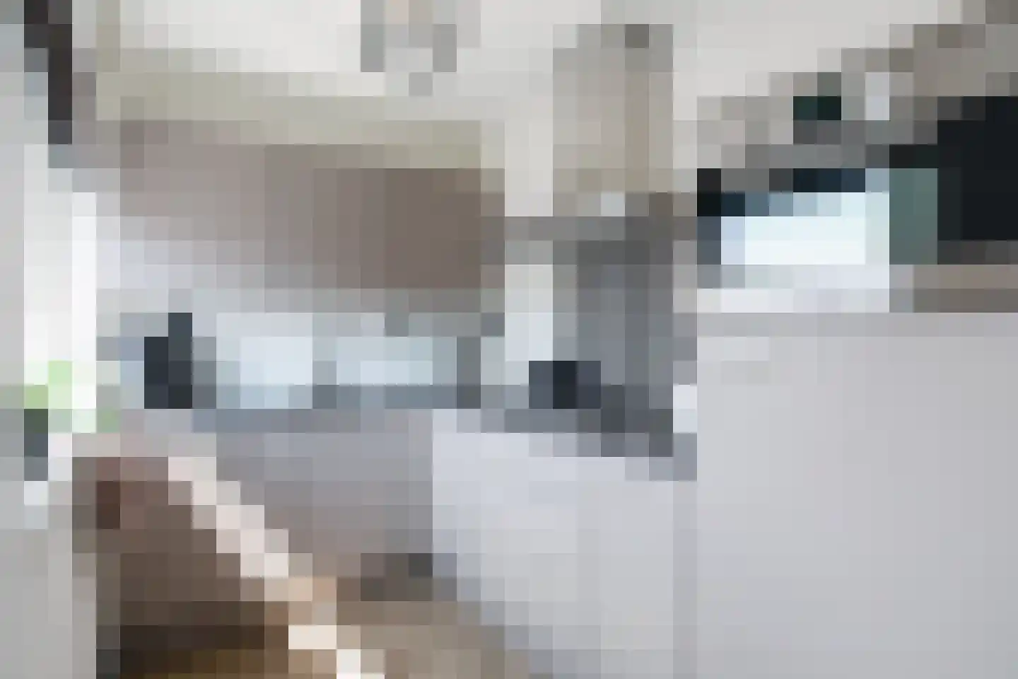 Spankerstraat 6 Lisse thumbnail 19