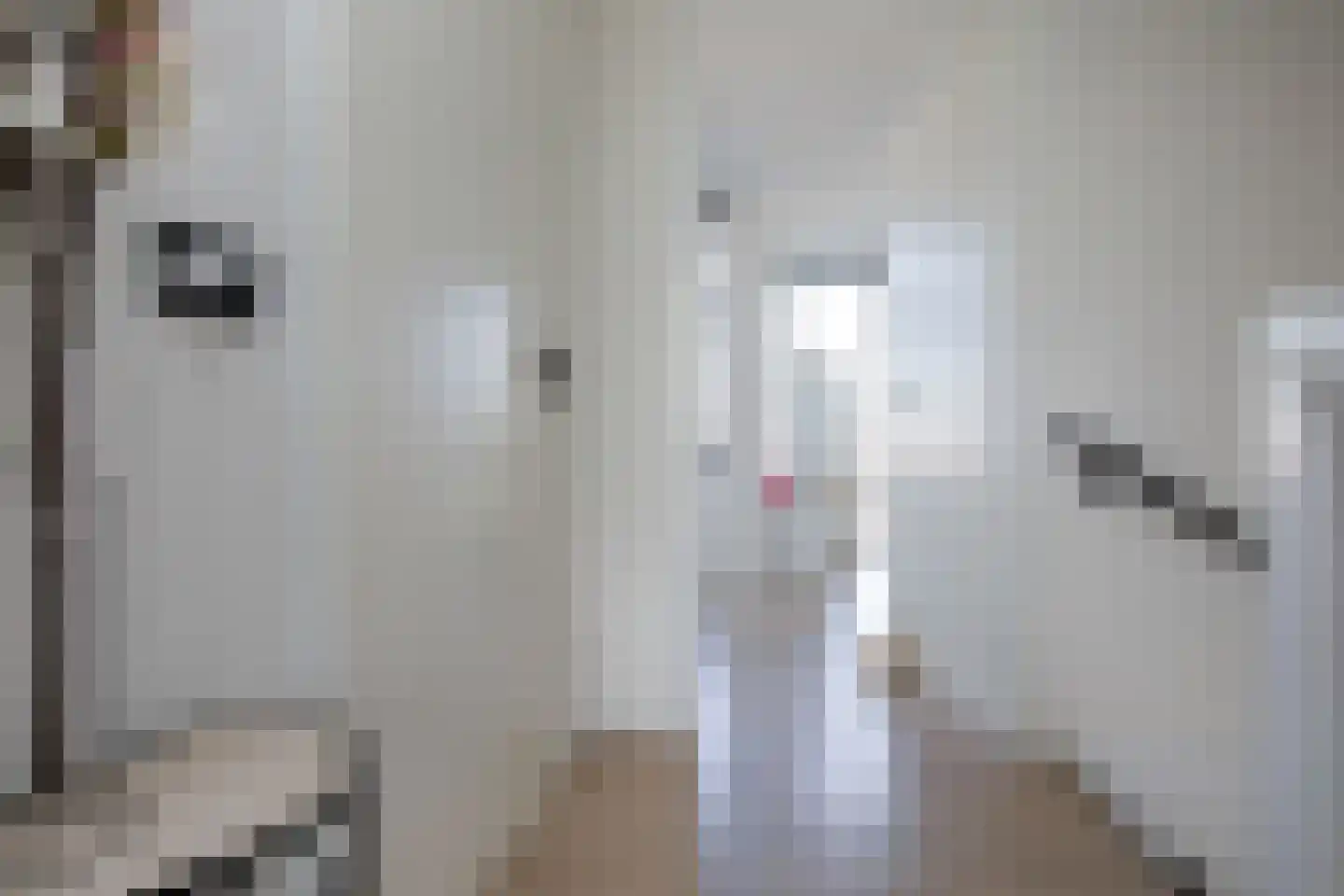 Spankerstraat 6 Lisse thumbnail 28